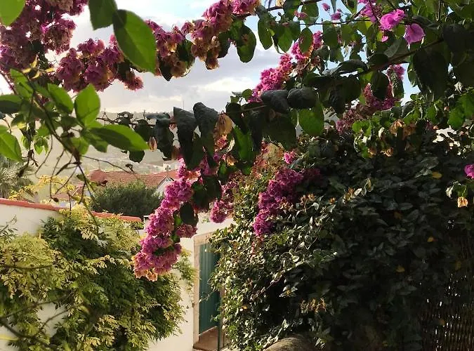 Casa Picva Vendégház 3*